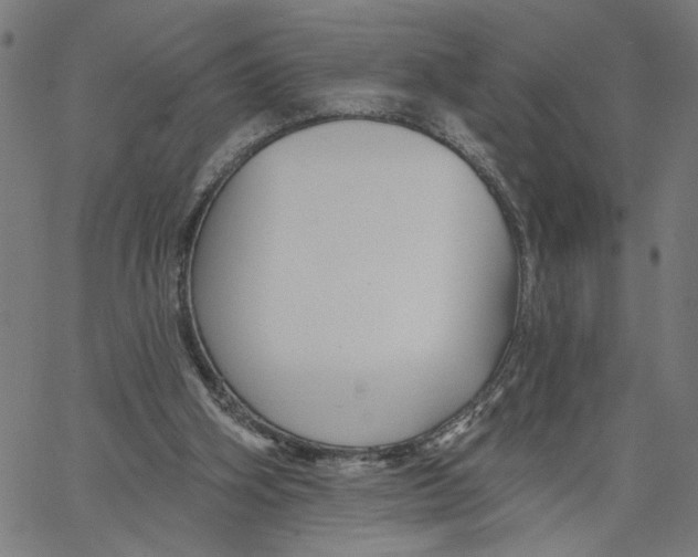 X0000067510106200604281618