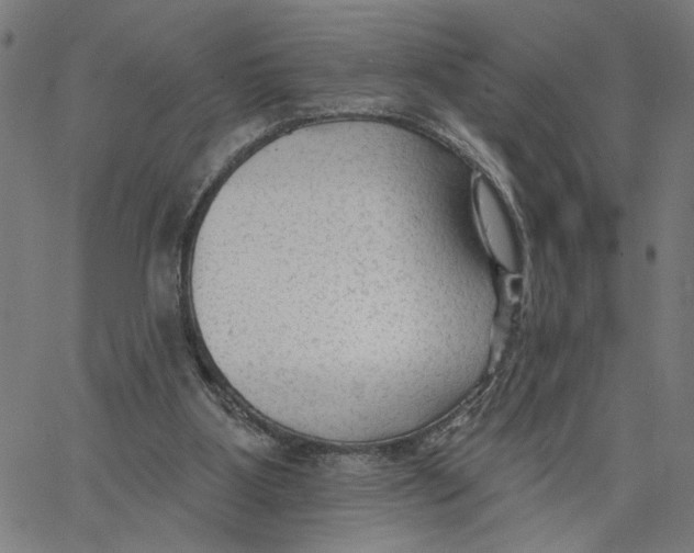 X0000067510107200604281618