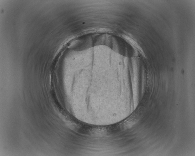 X0000067510110200604281618