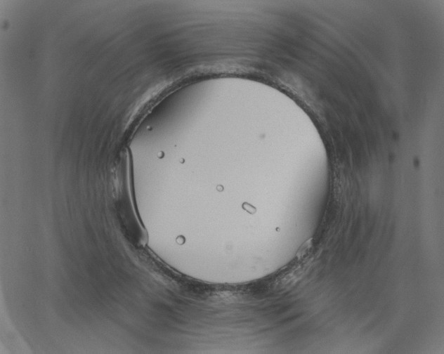 X0000067510111200604281618