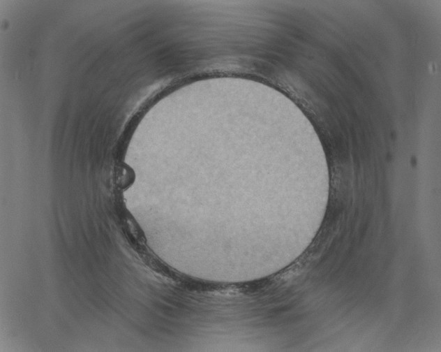 X0000067510112200604281618