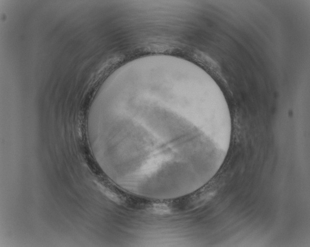 X0000067510114200604281618