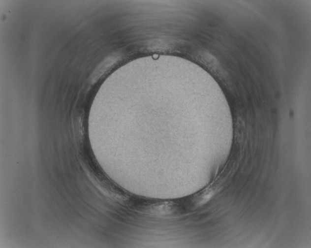 X0000067510116200604281618