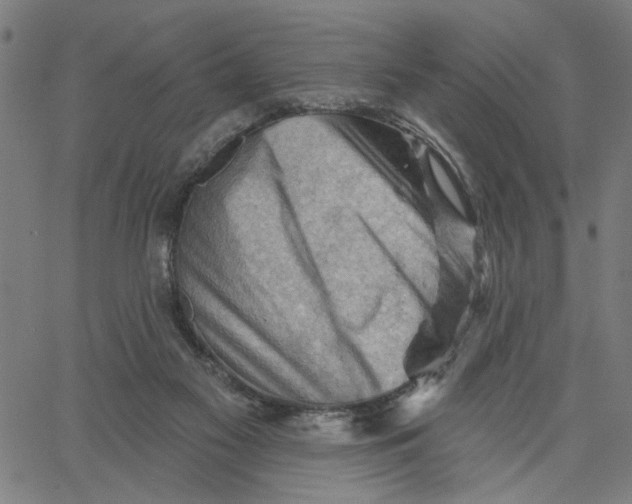 X0000067510117200604281618