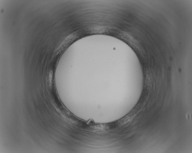 X0000067510118200604281618