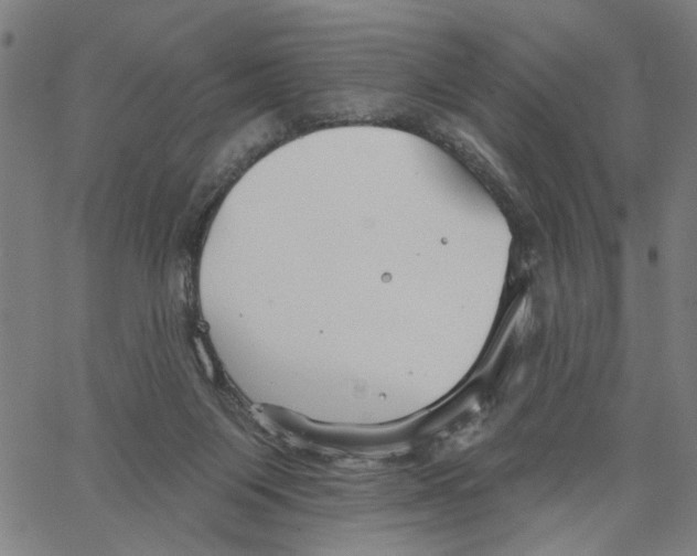 X0000067510119200604281618