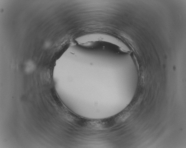 X0000067510121200604281618