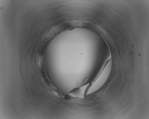 X0000067510125200604281618