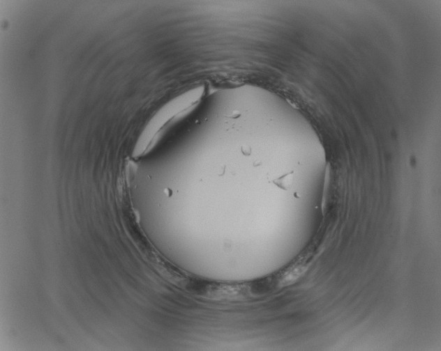 X0000067510129200604281618