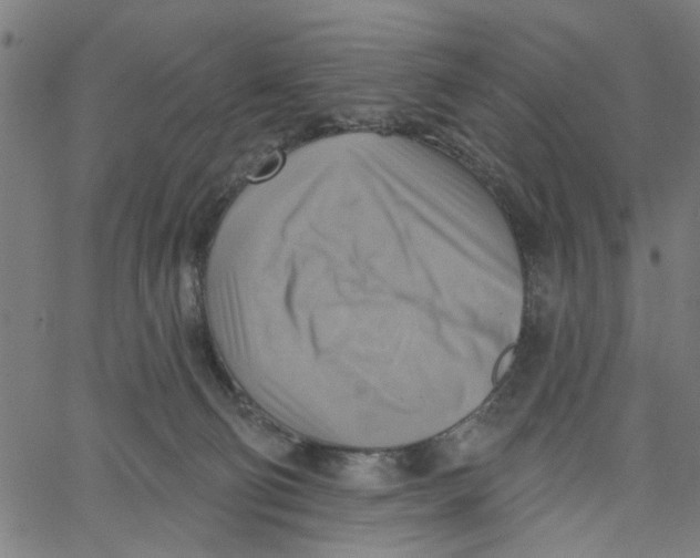 X0000067510130200604281618