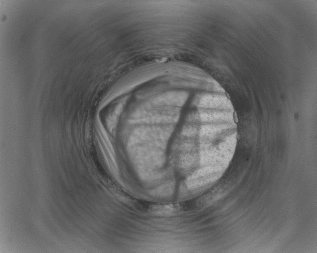 X0000067510131200604281618