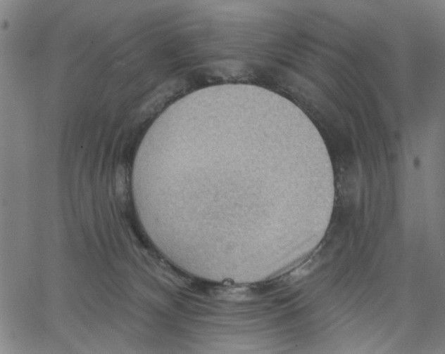 X0000067510132200604281618