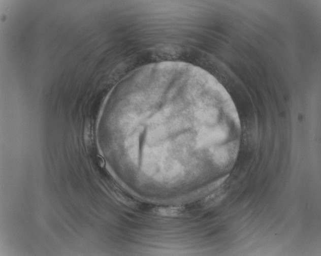 X0000067510134200604281618