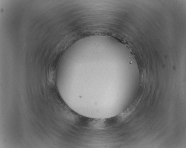 X0000067510138200604281618