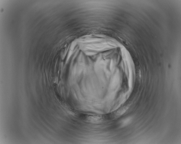 X0000067510139200604281618