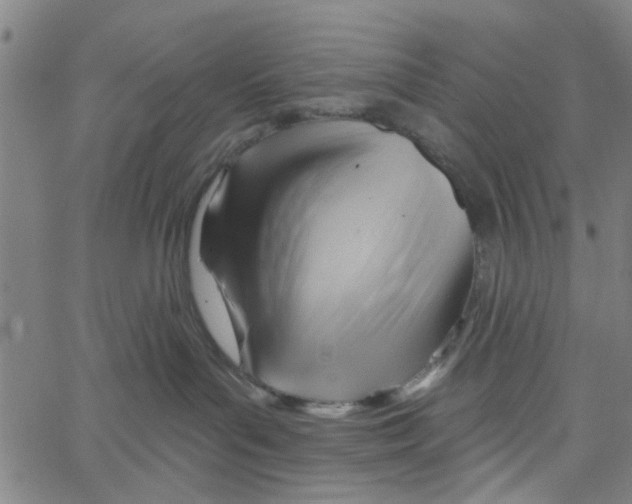 X0000067510143200604281618