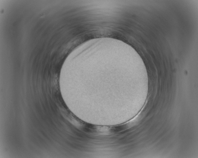 X0000067510144200604281618