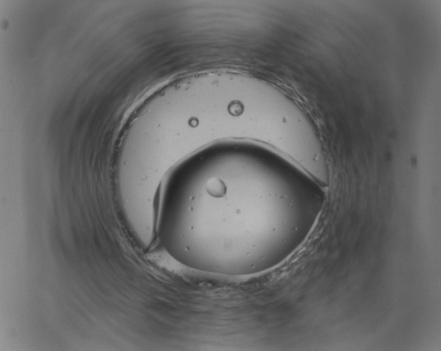 X0000067510146200604281617