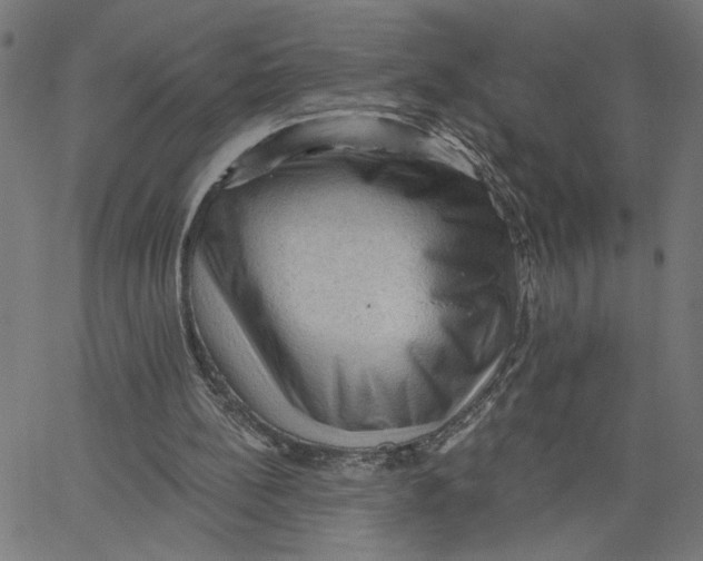 X0000067510148200604281617