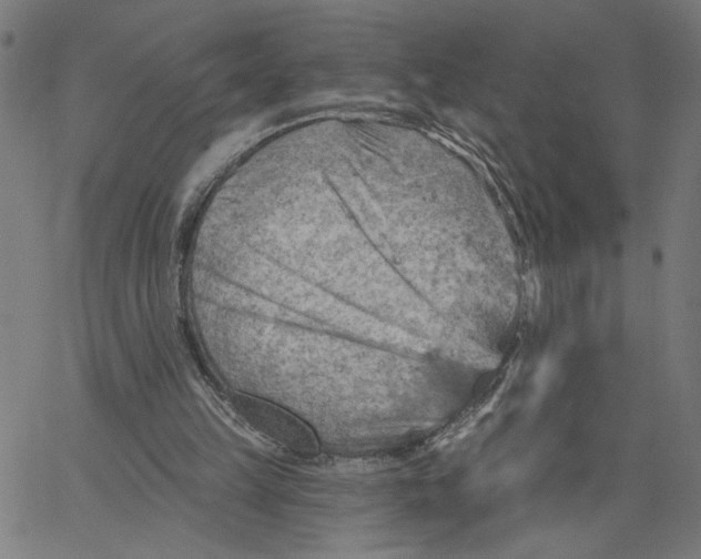 X0000067510149200604281617