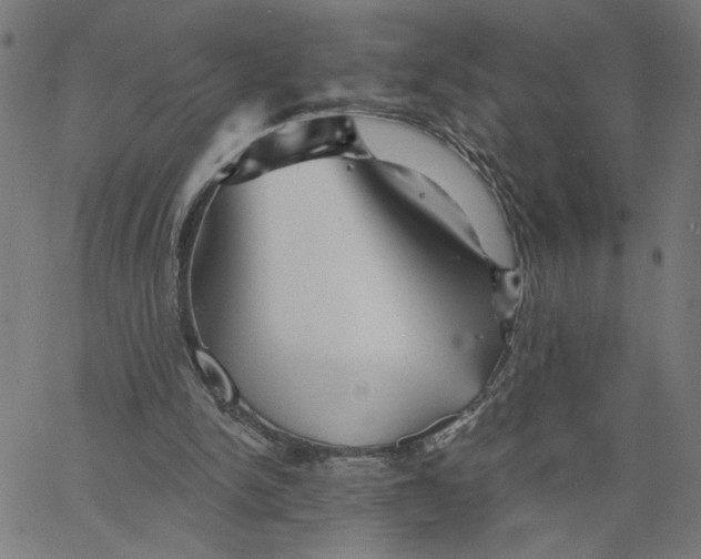 X0000067510150200604281617