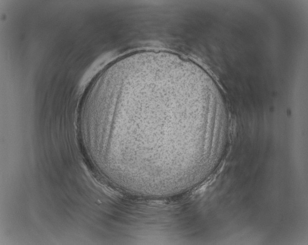 X0000067510151200604281617