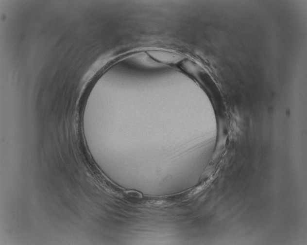 X0000067510152200604281617