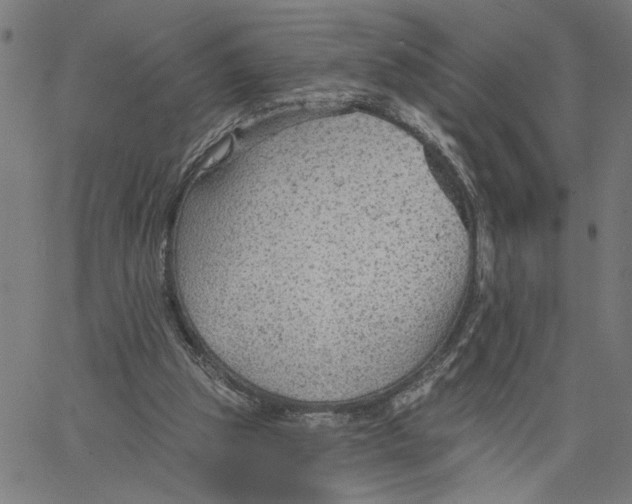 X0000067510153200604281617