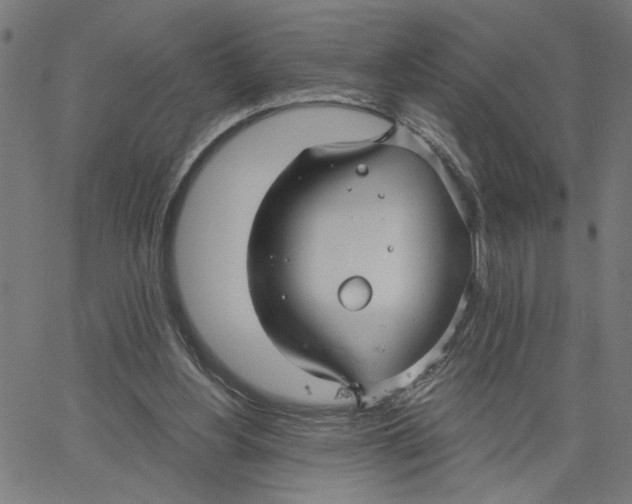 X0000067510156200604281617