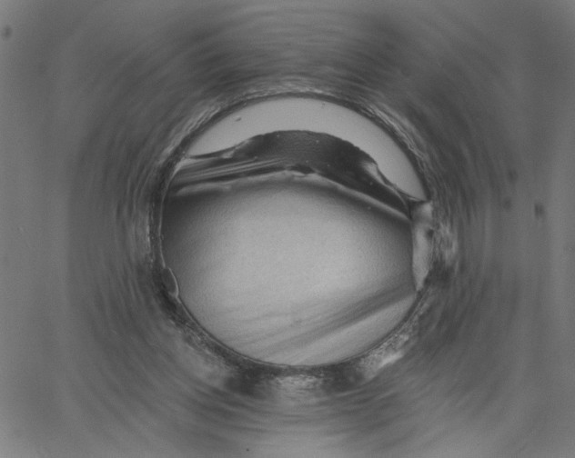 X0000067510158200604281617