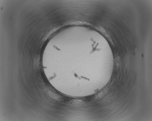 X0000067510159200604281617