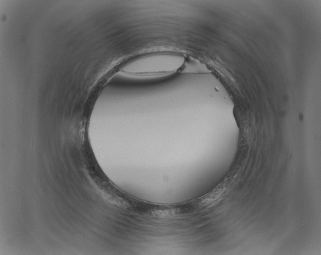 X0000067510160200604281617