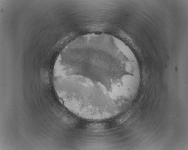 X0000067510161200604281617