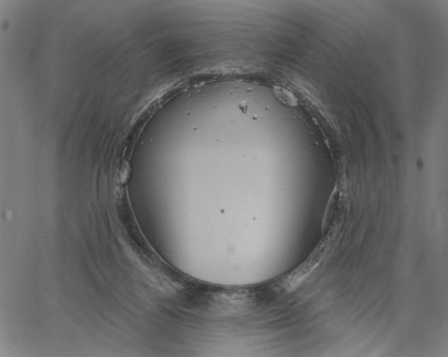 X0000067510164200604281617