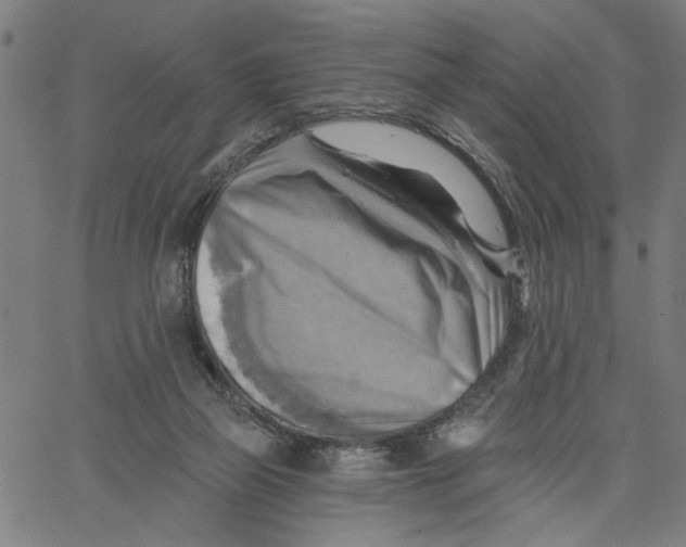 X0000067510165200604281617