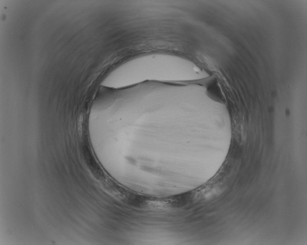 X0000067510167200604281617