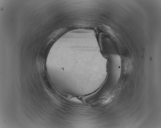 X0000067510168200604281617