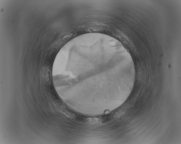 X0000067510169200604281617