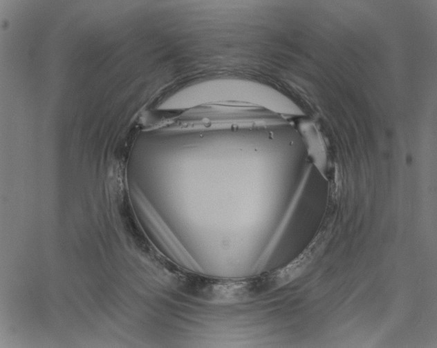 X0000067510172200604281617