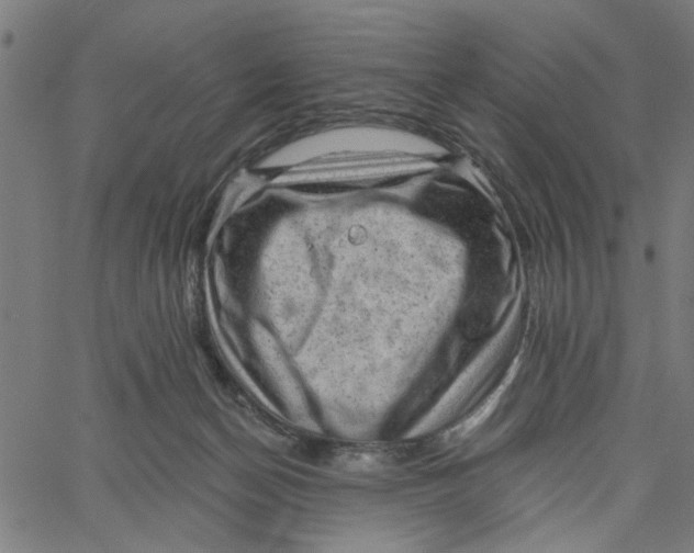 X0000067510174200604281617