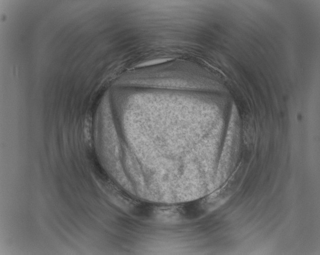 X0000067510175200604281618