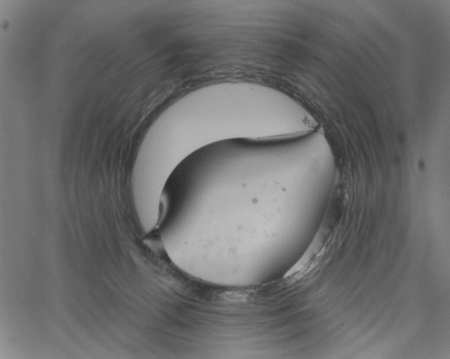 X0000067510176200604281618