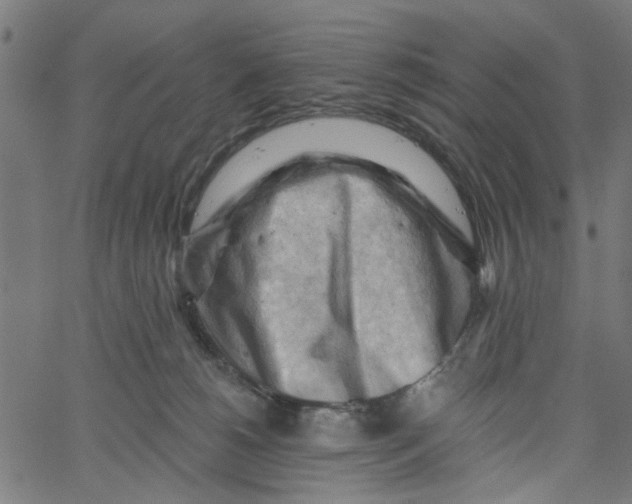 X0000067510180200604281618