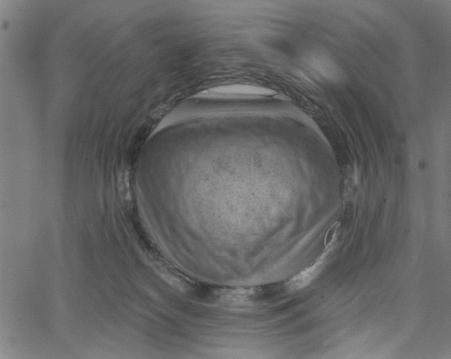 X0000067510182200604281618