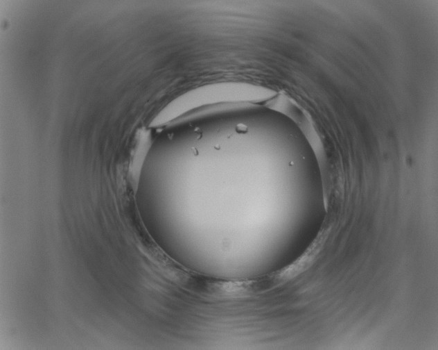 X0000067510184200604281618