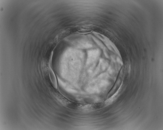 X0000067510186200604281618