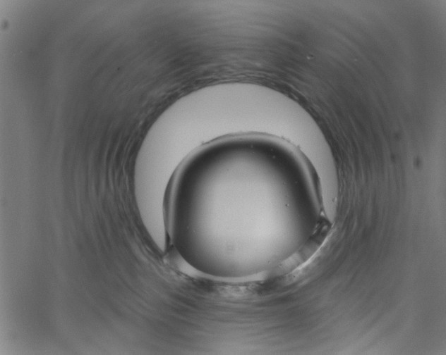 X0000067510187200604281618