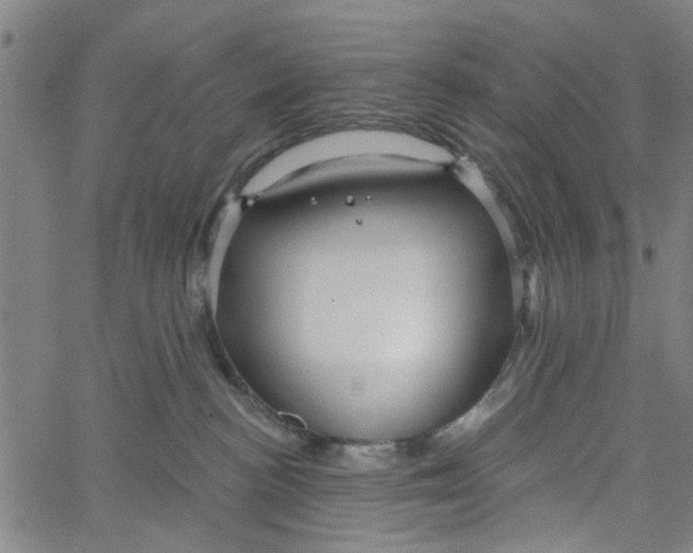 X0000067510188200604281618