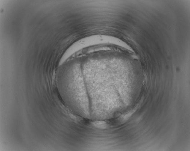 X0000067510189200604281618