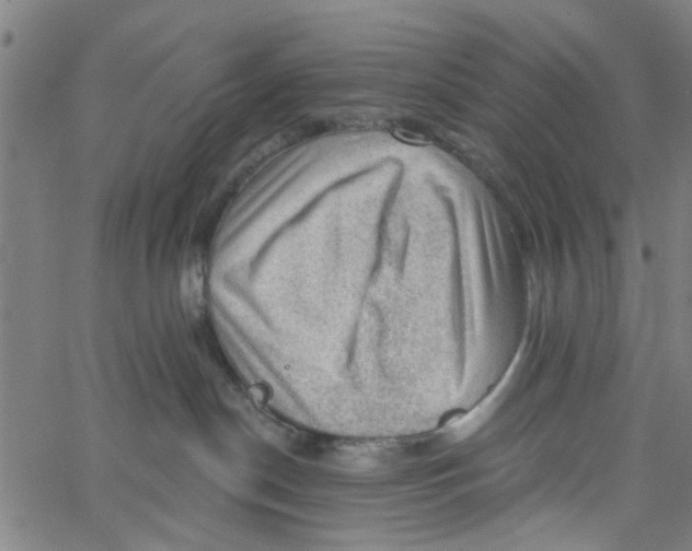 X0000067510190200604281618